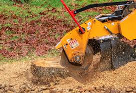 How Our Tree Care Process Works  in  Rio Dell, CA